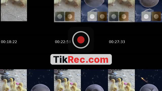 TikTok live: gaza by @yesimgazan