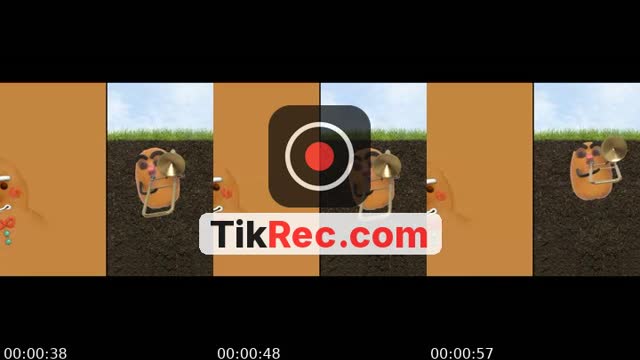 @sayra.sorto TikTok live