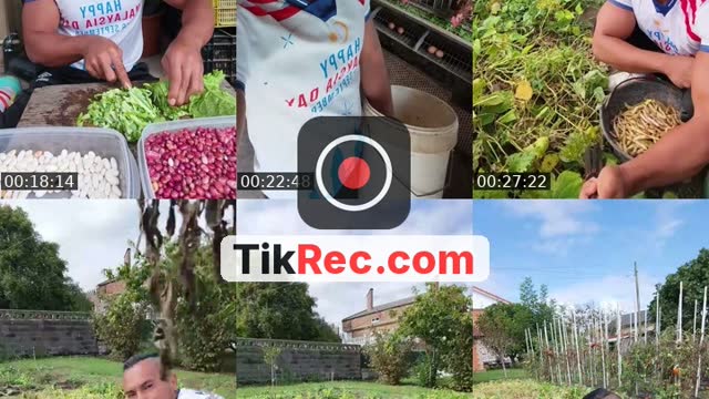 @ryan_malaysia_spain TikTok live