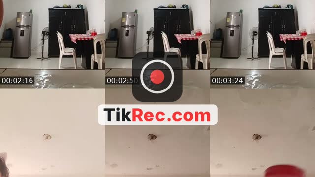 @n_i_c_o_o_l TikTok live