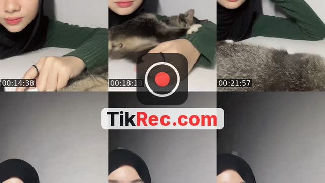 @hailnaa TikTok live from 2026-09-17