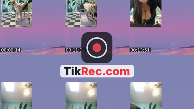 @ceeceebloom2.0 TikTok live from 2026-09-17