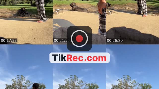 TikTok live: Day 130 | workout by @830_tv