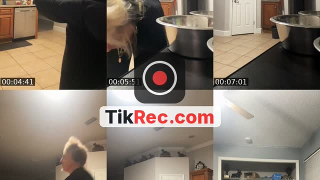 @priefitlife TikTok live from 2026-09-17