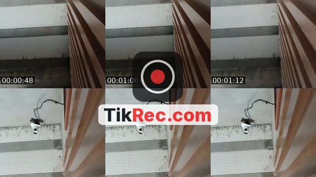 @novinoficial25 TikTok live