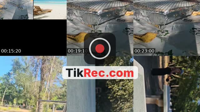 @t.s.o.n.g.e TikTok live