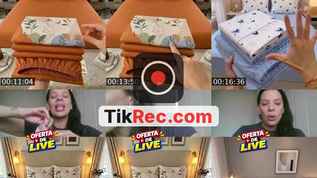 TikTok live: Lets Go LIVE! by @casalfeeproposito