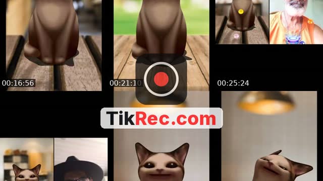 @ana.beatriz.viera2 TikTok live from 2026-09-17