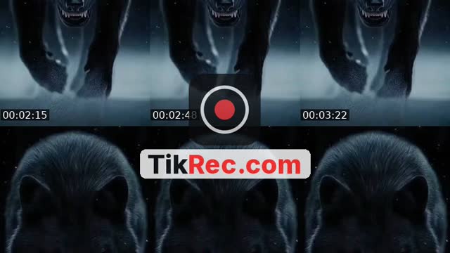@.gold51 TikTok live