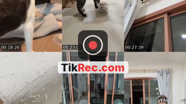 @tuazorfamily TikTok live from 2026-09-18