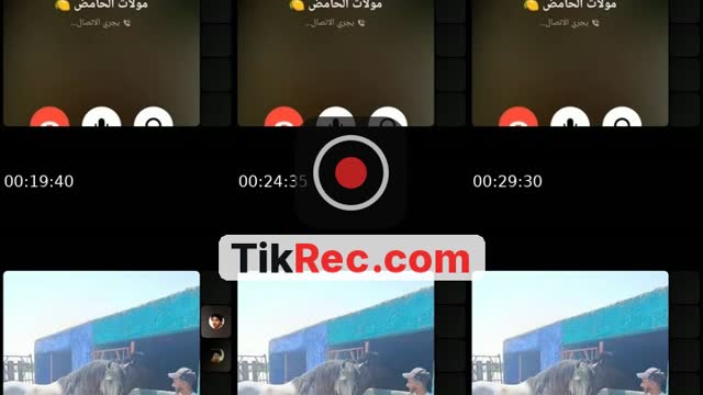 @user3531441656521 TikTok live from 2026-09-17
