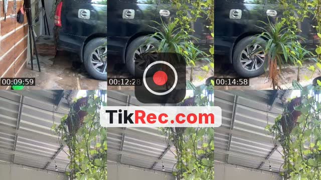 @valoly26 TikTok live from 2026-09-18