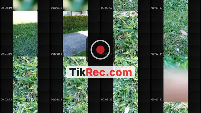 @goldie2531 TikTok live from 2026-09-18