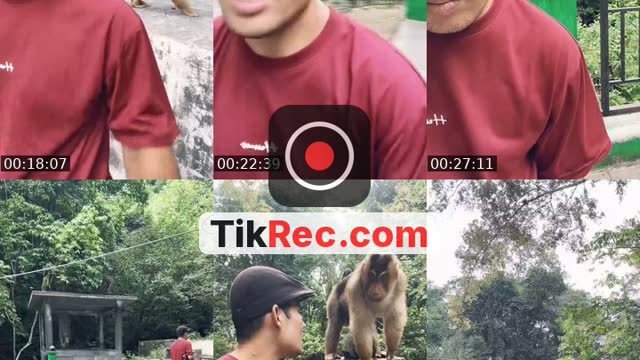 @detimmanik8 TikTok live from 2026-09-18