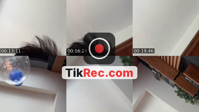 @dreamersfantasy1 TikTok live from 2026-09-19