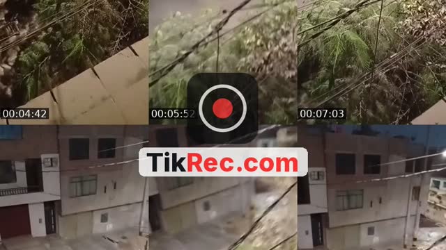 TikTok live: Quieres ver mi bosque ? 🌳😸 by @jennilop33
