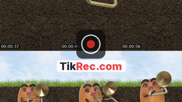@orkide799 TikTok live