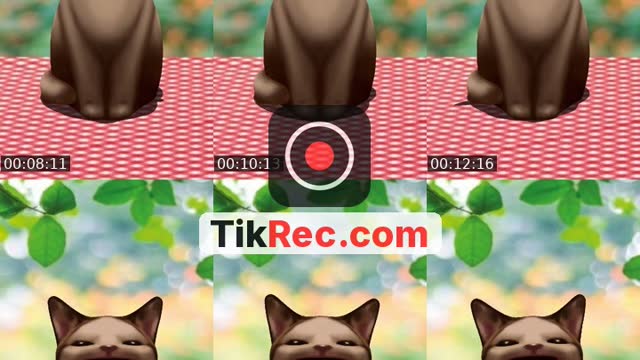 @_57391 TikTok live
