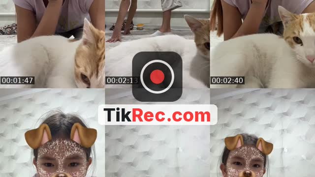 @b_ummu4 TikTok live