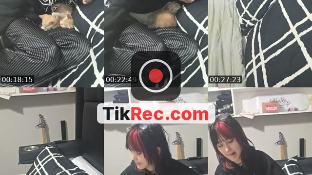 TikTok live: Relax and Chat! 💜 by @velvet._.omen