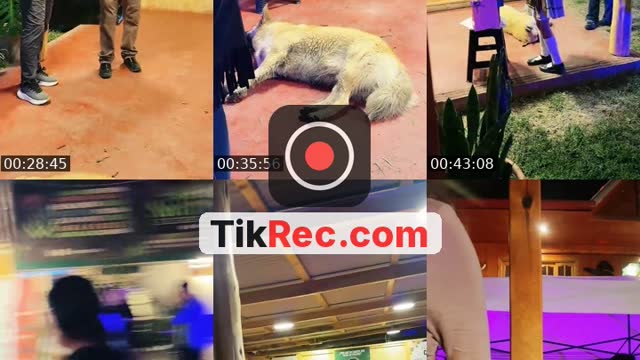 TikTok live: Holiuwu🐮💕 by @ruthorihuela_s