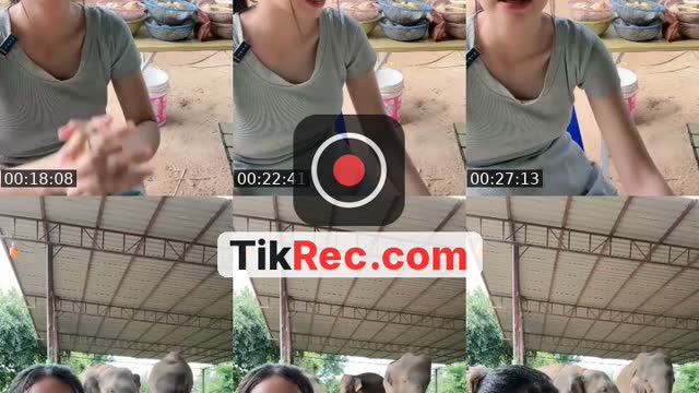 @cream_449900 TikTok live from 2026-09-19