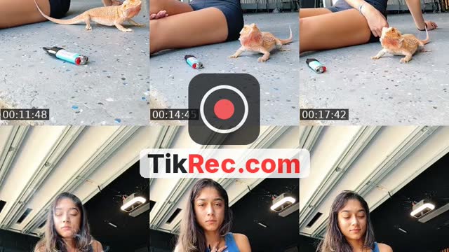 @kamyycakess TikTok live from 2026-09-19