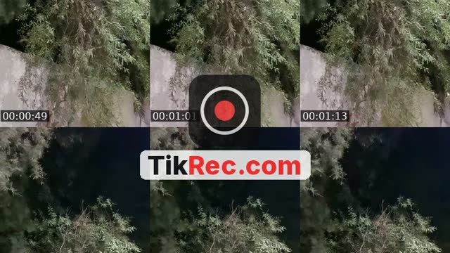 @4cj40 TikTok live