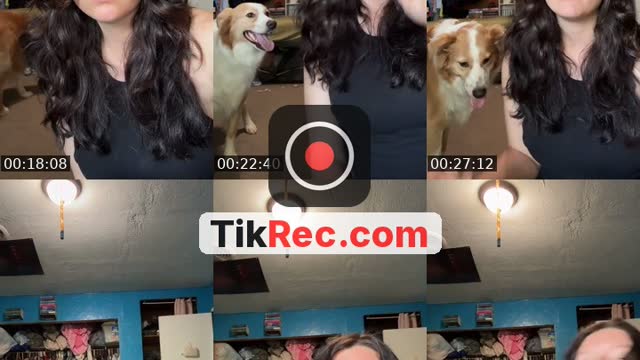 TikTok live: Come have fun with rockyroad by @that_goofy..aussie_rocky