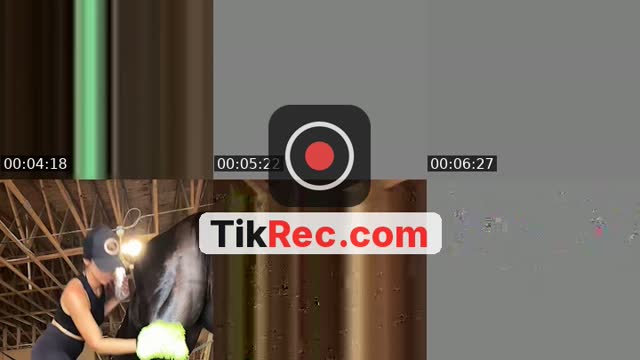 @janelleesoto TikTok live from 2026-09-19
