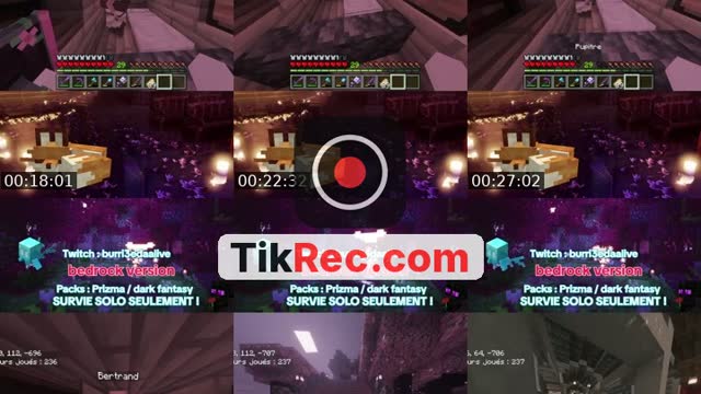 TikTok live: DODO by @burri3dalive
