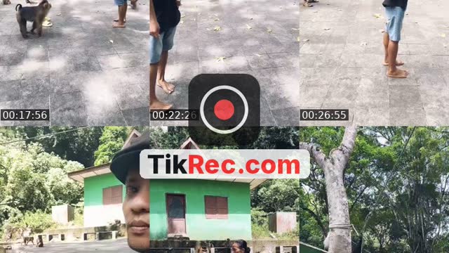 @detimmanik8 TikTok live from 2026-09-19