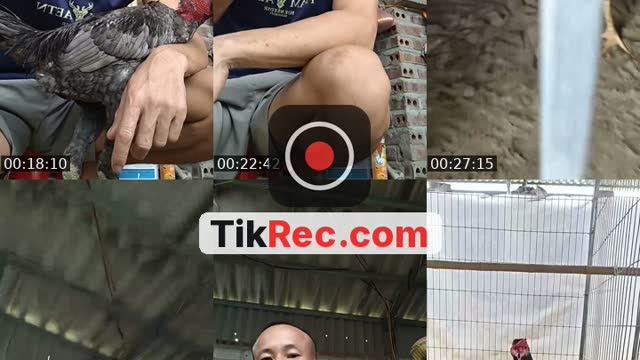 @1984gmali.com_ TikTok live from 2026-09-19