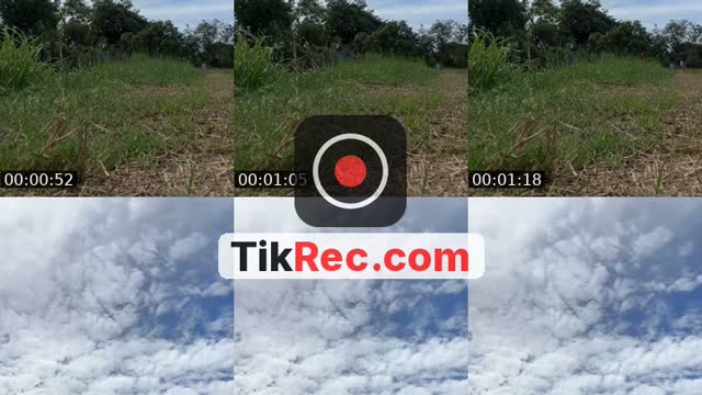 @teeranet__18 TikTok live