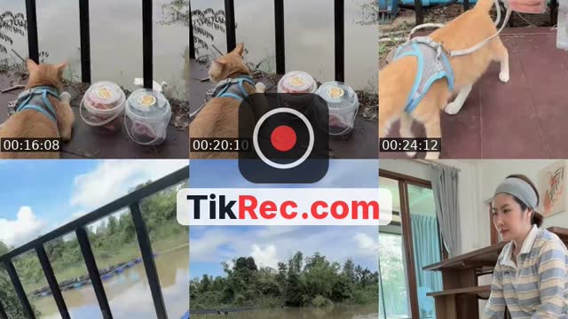 @tuazorfamily TikTok live