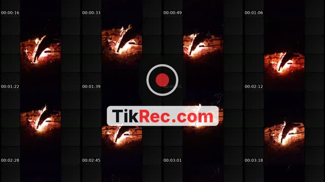 @goldie2531 TikTok live from 2026-09-19