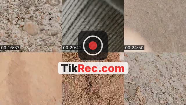 TikTok live: hi by @igorwolicki