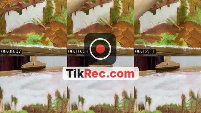 @ibrahimalaliartist TikTok live
