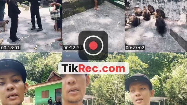 @detimmanik8 TikTok live from 2026-09-21