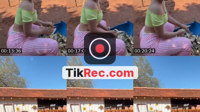 @dannylu250 TikTok live from 2026-09-20