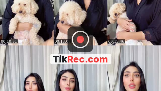@official.ansam TikTok live