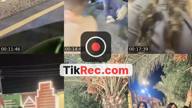 @talolil TikTok live