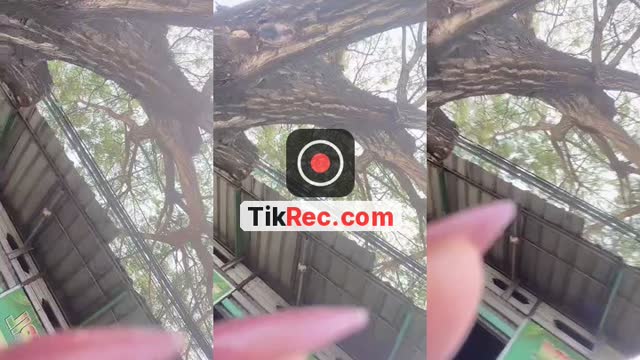 @ftimhazzahraa TikTok live