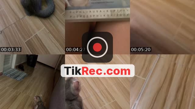 TikTok live: raro by @xxzetsumei