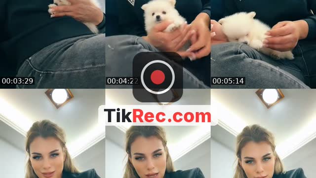 @alineguedees TikTok live