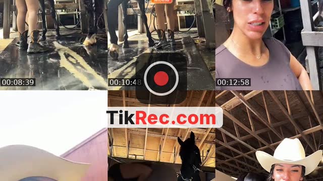@janelleesoto TikTok live