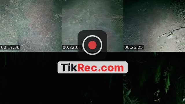 @loyy_ahmad TikTok live from 2026-09-22