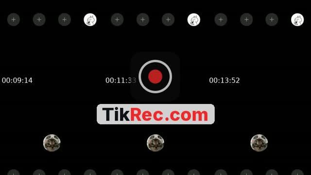 TikTok live: wih by @vivivi_0_
