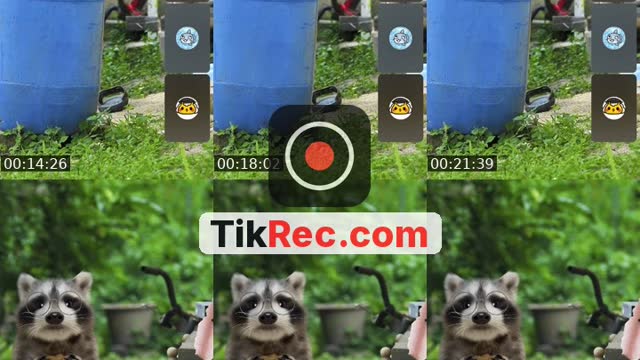 @chaozzzzu11 TikTok live