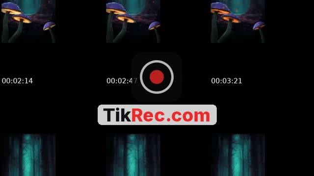 @user321895973 TikTok live